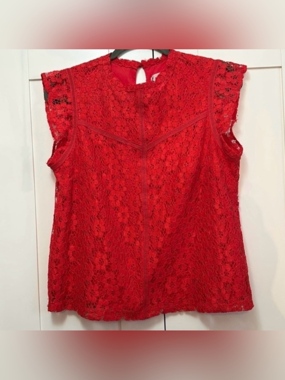 Red Lace Sleeveless Top By Nanette Sz MED